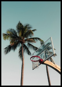 Basketball Hoop-2