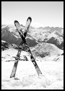 Crossed Skis-2