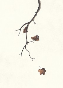 Autumn Leaves Falling-3