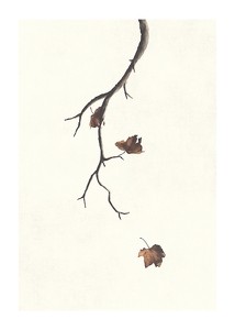 Autumn Leaves Falling-1