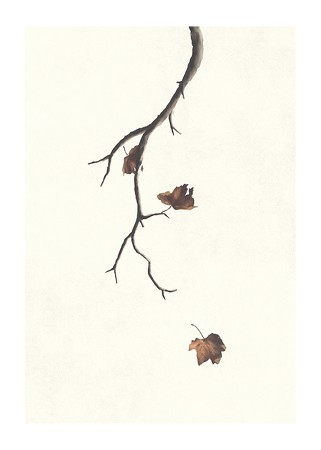 Poster Autumn Leaves Falling