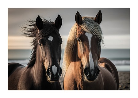 Poster Brown Horses