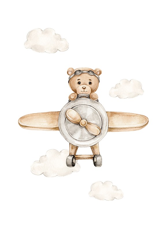 Teddy Bear In Airplane-1