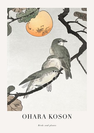 Poster Birds And Plants No1 By Ohara Koson