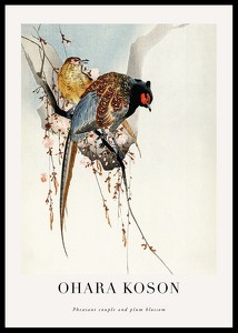 Pheasant Couple And Plum Blossom By Ohara Koson-0