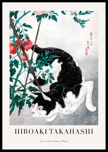 Cat With Tomato Plant By Hiroaki Takahashi-0