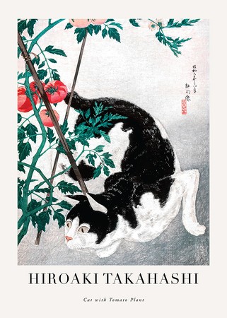 Poster Cat With Tomato Plant By Hiroaki Takahashi