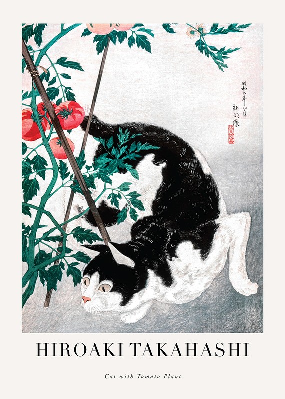 Cat With Tomato Plant By Hiroaki Takahashi-1