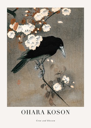 Poster Crow And Blossom By Ohara Koson
