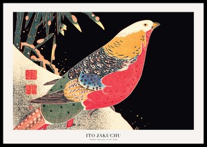 Golden Pheasant In The Snow By Ito Jakuchu-0