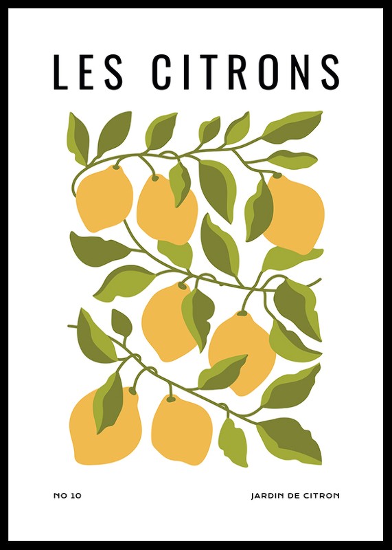 Les Citrons-0