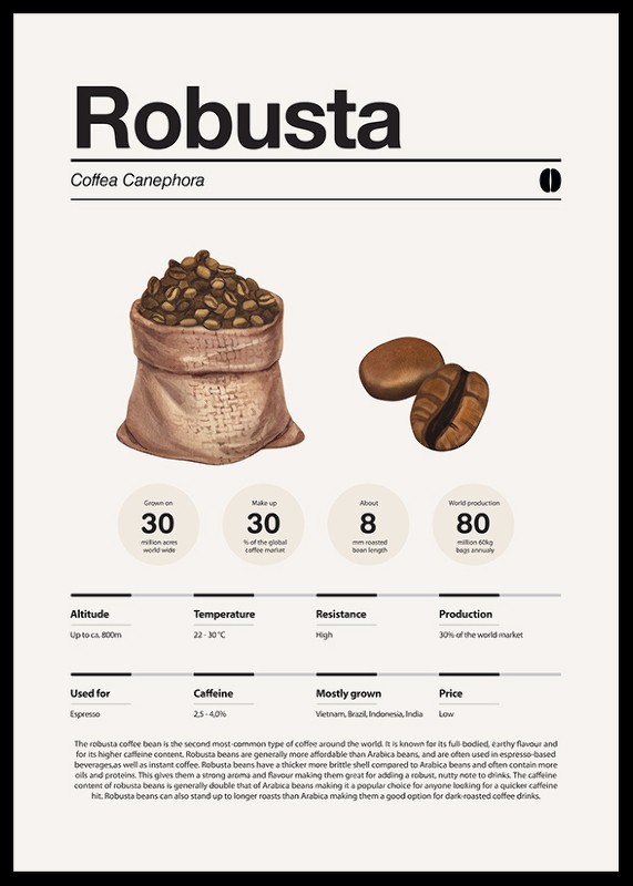 Robusta Coffee Beans-2