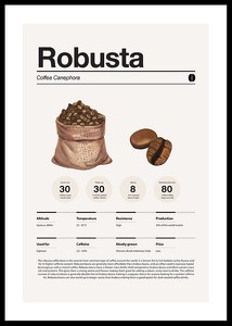 Robusta Coffee Beans-0