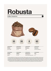 Robusta Coffee Beans-1