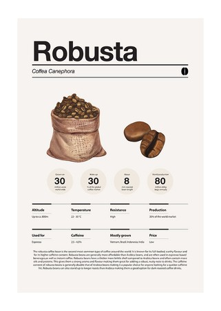 Poster Robusta Coffee Beans