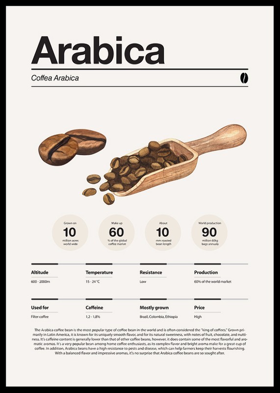 Arabica Coffee Beans-2