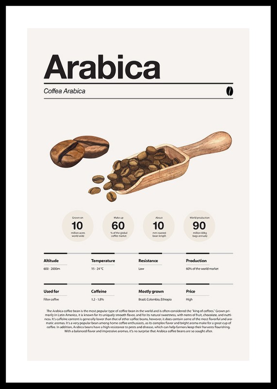 Arabica Coffee Beans-0