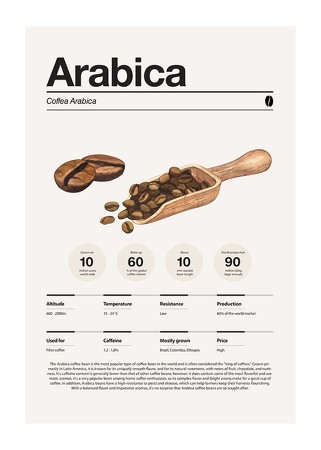 Poster Arabica Coffee Beans
