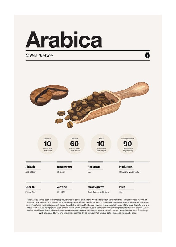 Arabica Coffee Beans-1