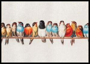 Birds In A Row Landscape-2
