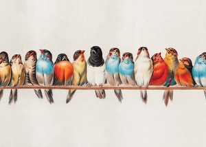 Birds In A Row Landscape-3