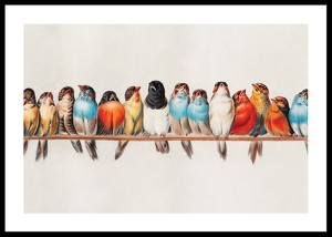 Birds In A Row Landscape-0