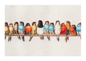 Birds In A Row Landscape-1