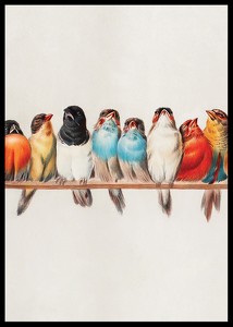 Birds In A Row Portrait-2