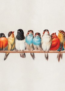 Birds In A Row Portrait-3