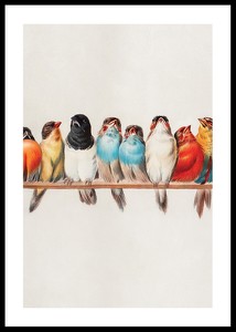Birds In A Row Portrait-0