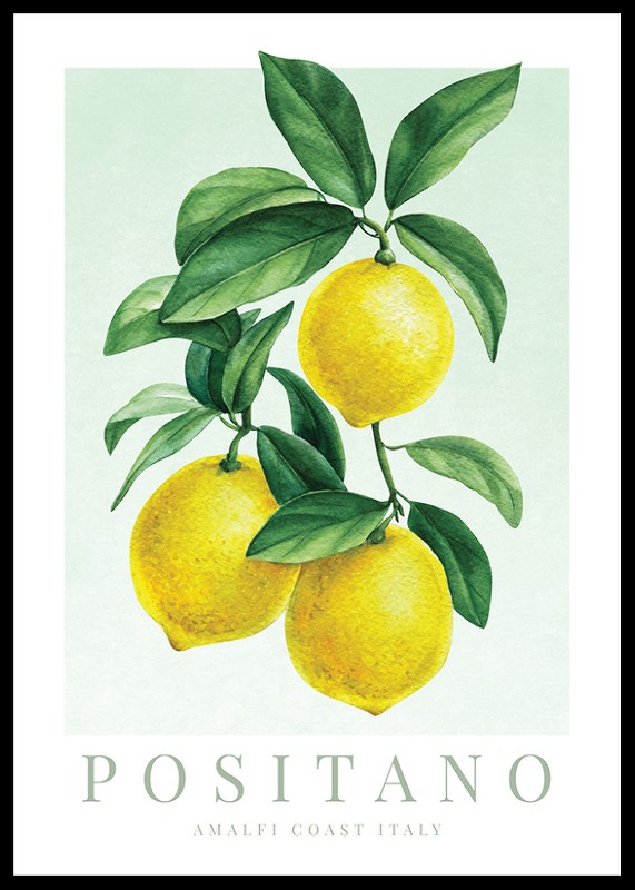 Positano Amalfi Lemons-0