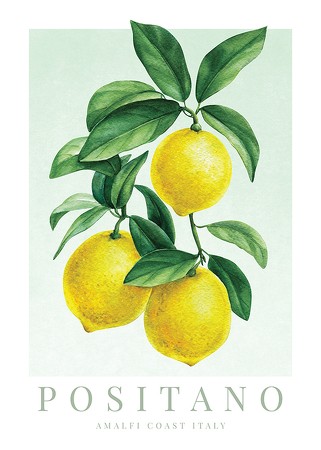 Poster Positano Amalfi Lemons
