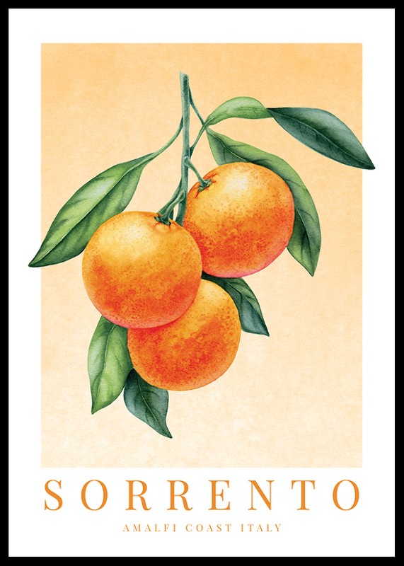 Sorrento Amalfi Oranges-0
