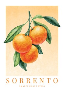 Poster Sorrento Amalfi Oranges