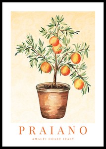 Praiano Amalfi Oranges-0