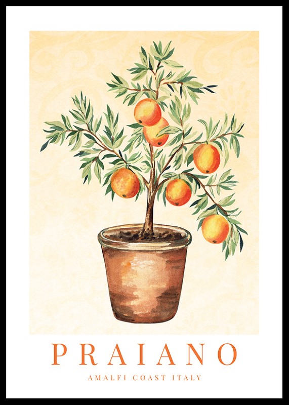 Praiano Amalfi Oranges-0