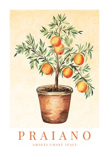 Poster Praiano Amalfi Oranges