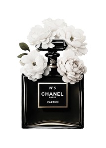 Poster Chanel No5 Parfum