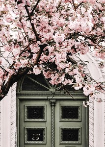 Pink Flowers Green Door-3