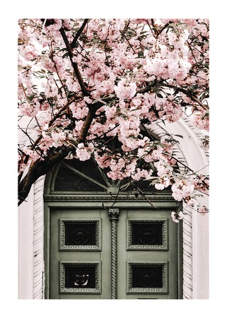 Poster Pink Flowers Green Door