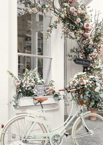 Bicycle And Flowers-3