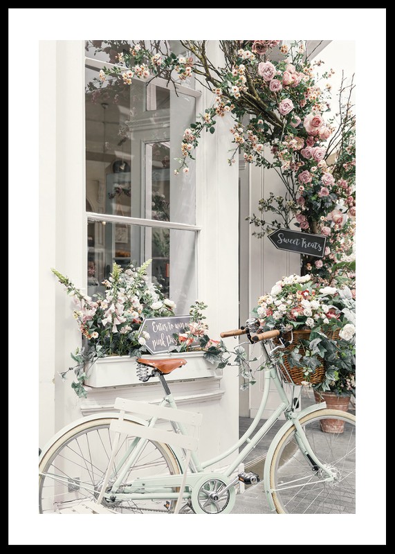Bicycle And Flowers-0
