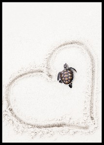 Baby Turtle On Beach-2