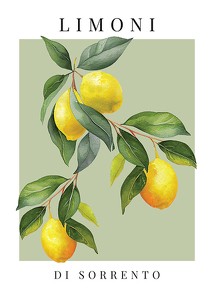 Limoni Di Sorrento-1