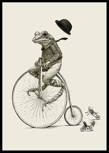 Frog On A Bicycle-2