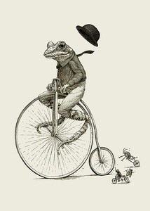 Frog On A Bicycle-3