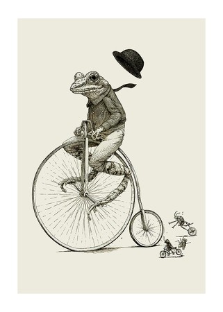 Poster Frog On A Bicycle