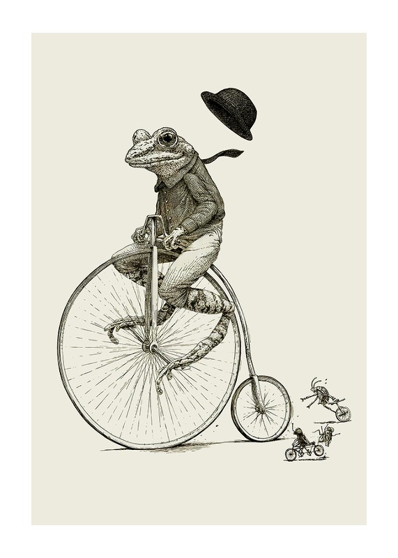 Frog On A Bicycle-1