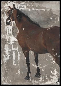 Štúdia koňa By Jozef Hanula-2