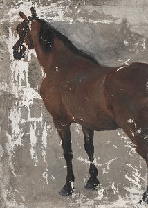 Štúdia koňa By Jozef Hanula-3